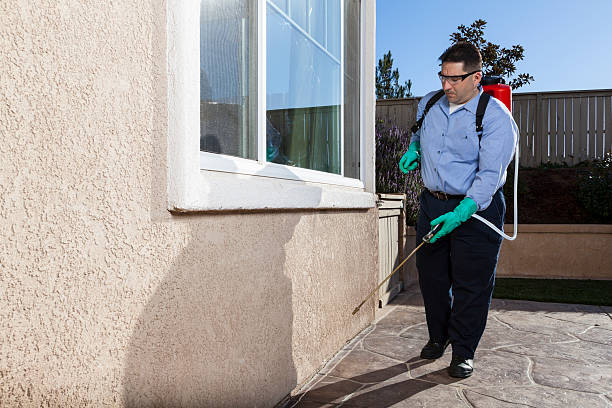 Professional Pest Control in Roy, UT